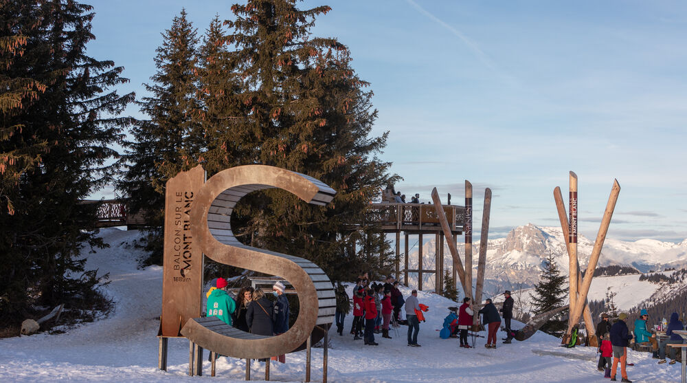 belvedere-chard-du-beurre