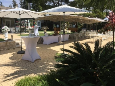 La Dolce Vita - photo 5