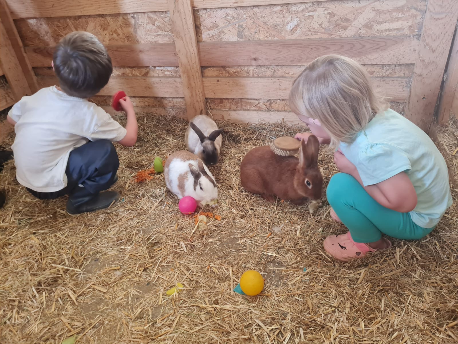Atelier petit fermier à La ferme du Champ Rouge