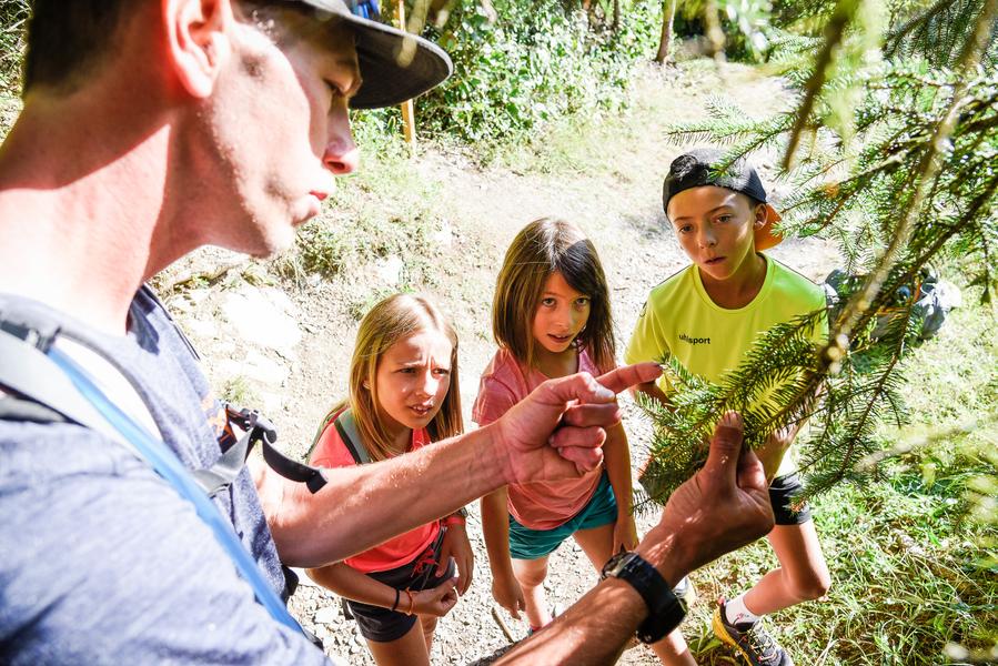 Explication de la flore