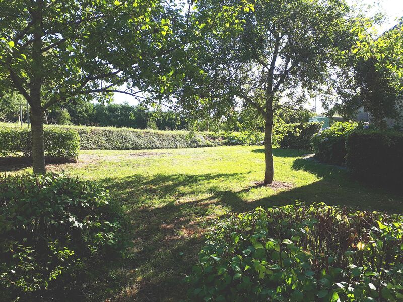 jardin