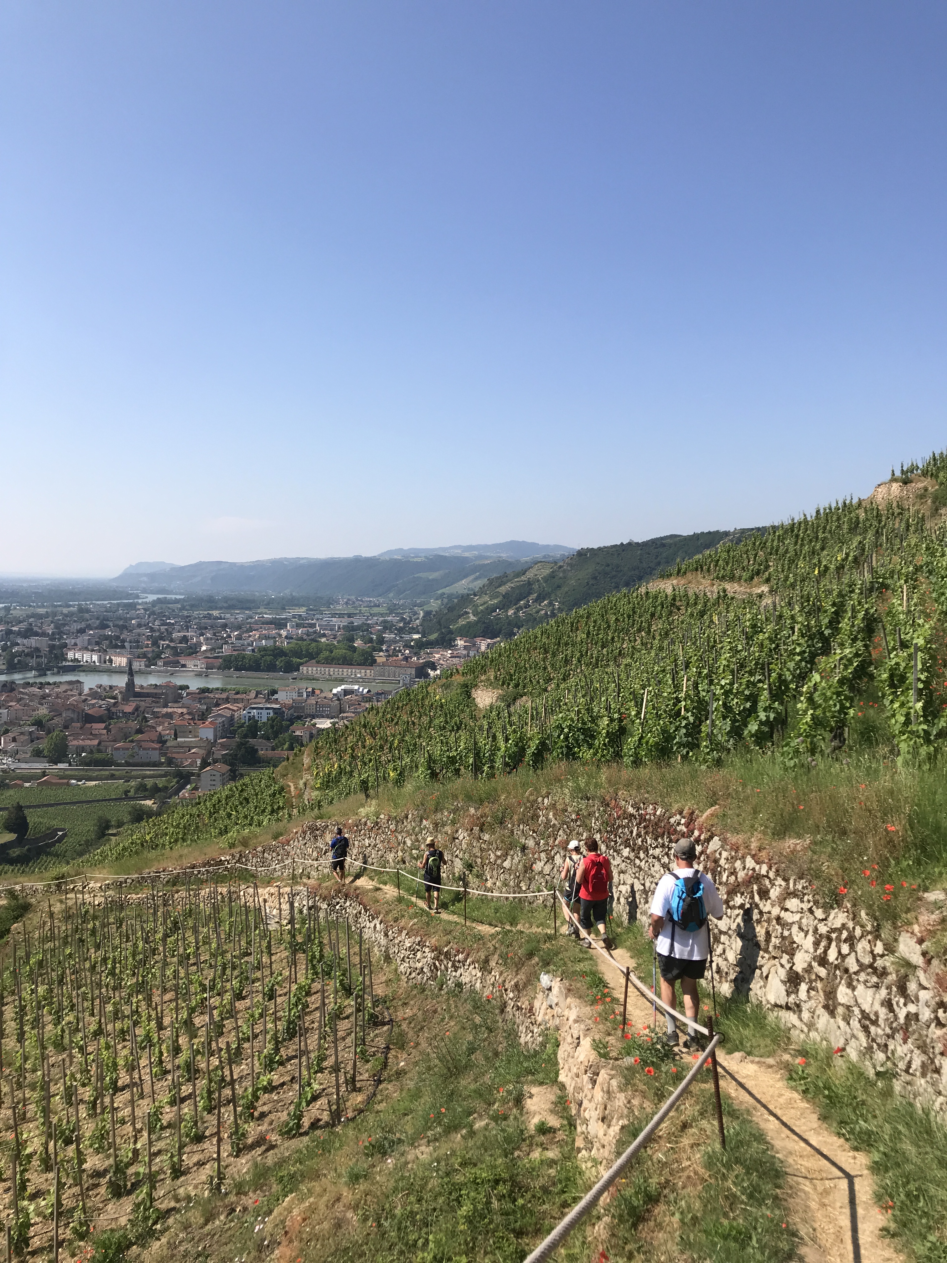 Walking and tasting in Hermitage with 'Terres de Syrah'