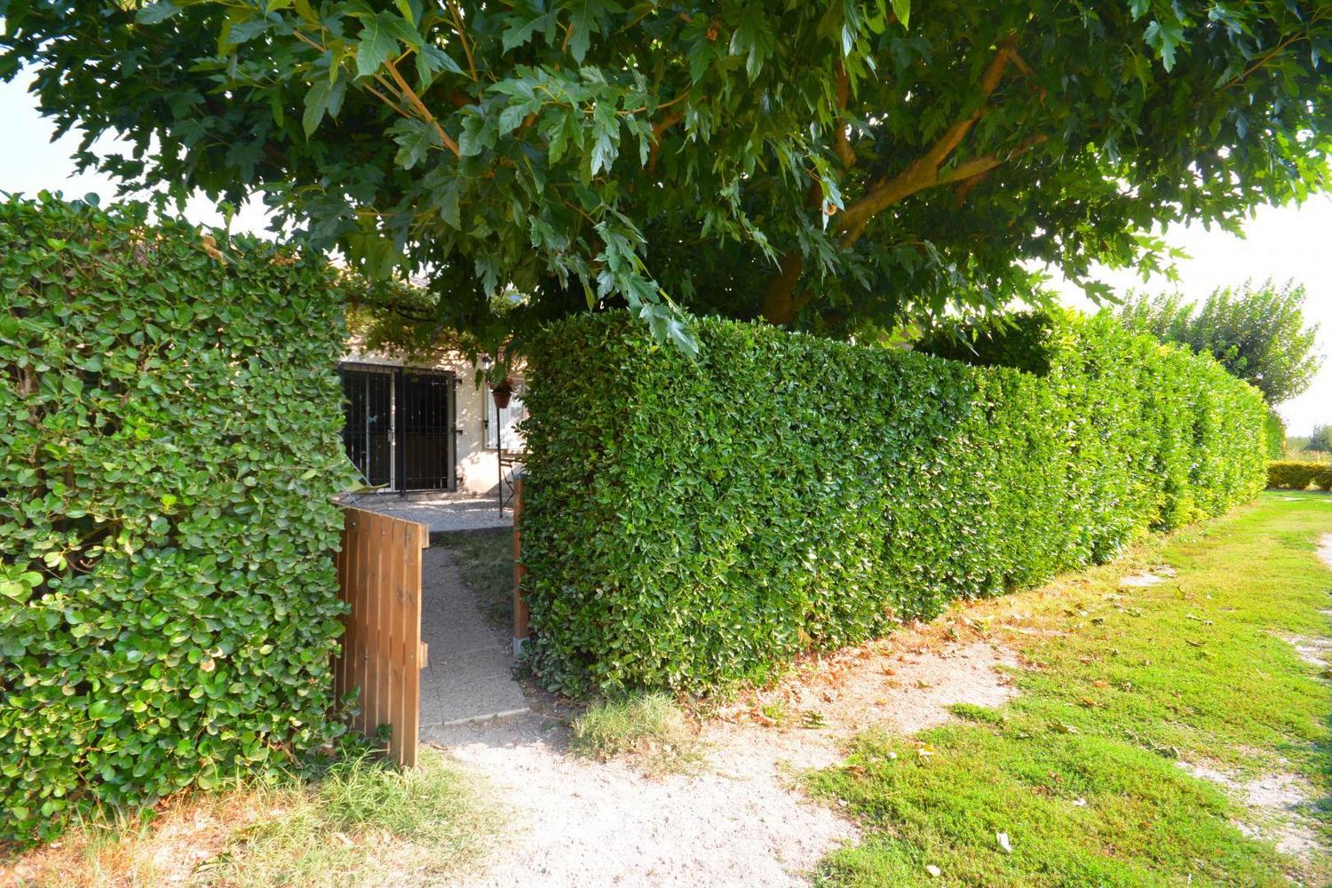 La Roubine, Mollégès - photo 38