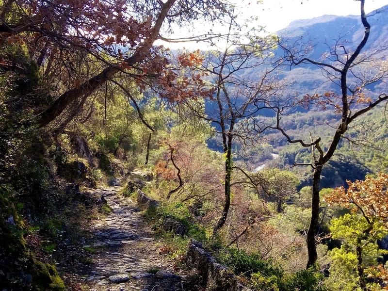 Parc des Préalpes d'Azur