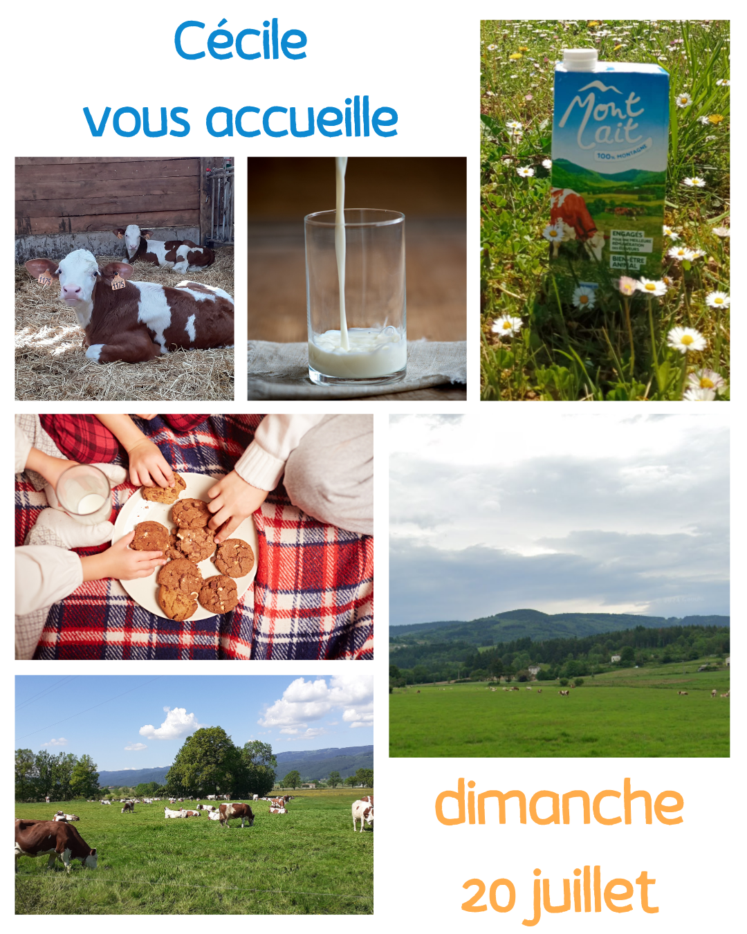 Ferme ouverte // Ambert