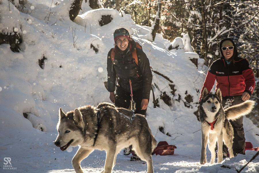 Cani-balade sur la neige