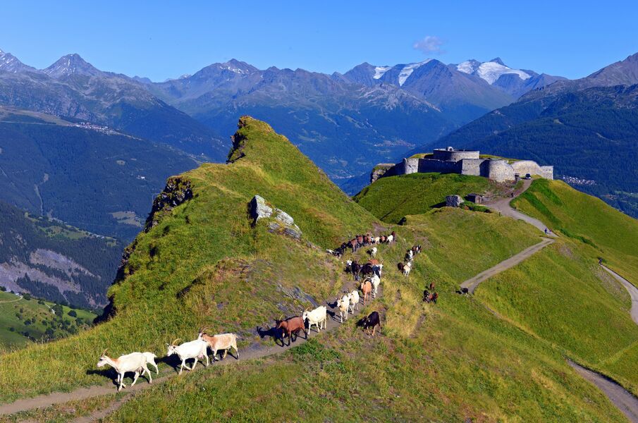 Fort de la Platte