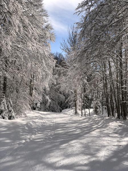 Ski nordique sur le Site de Lachat_Haut Valromey