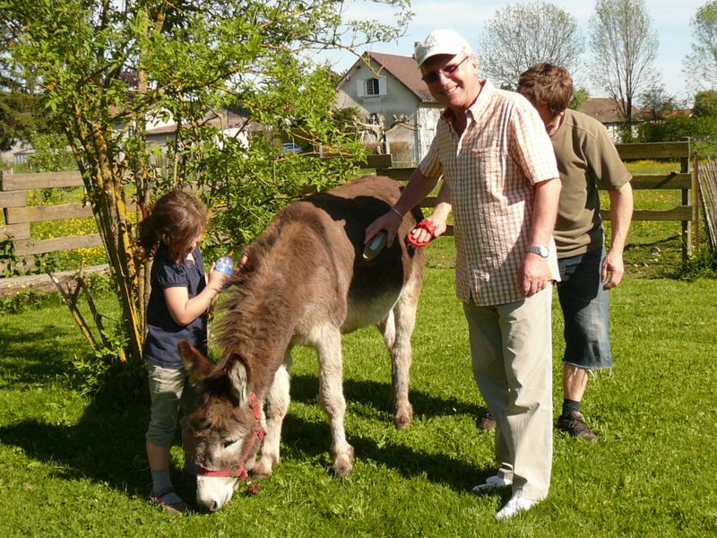 Balades à dos d'ânes avec les ânes des terres froides