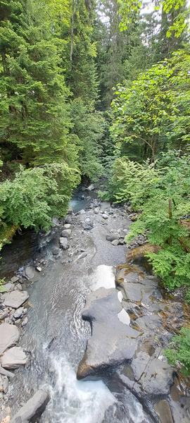 Balade au Pont de la Flée - sentier pédestre_Cordon