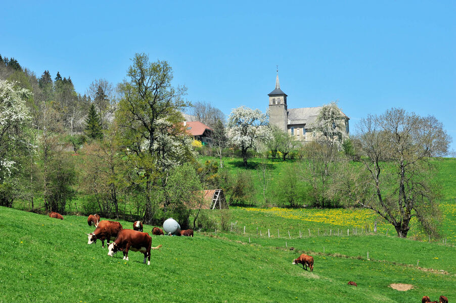 Col de leschaux