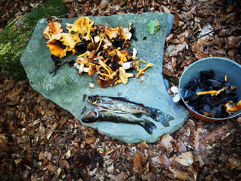 Stage de survie Mercantour