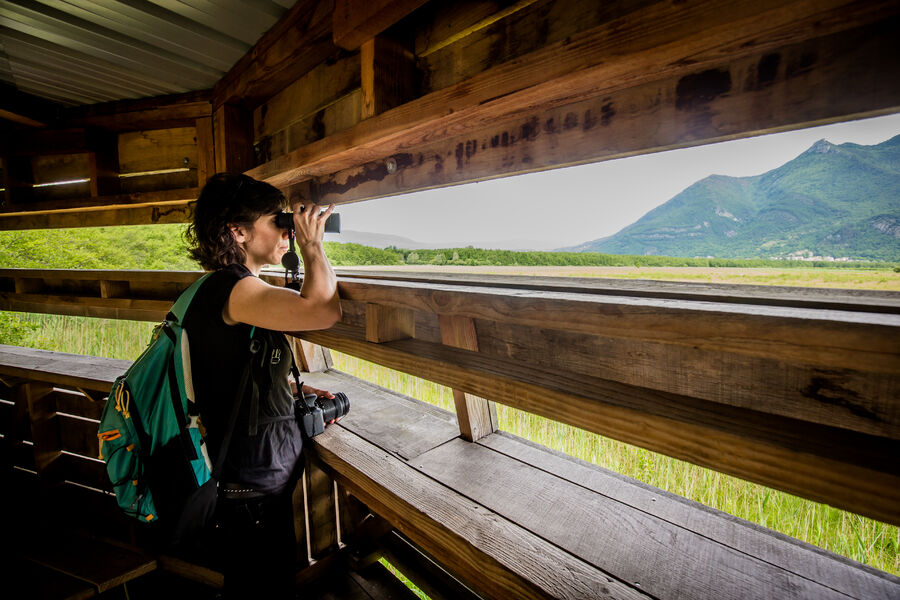 Observatoire du marais de Lavours