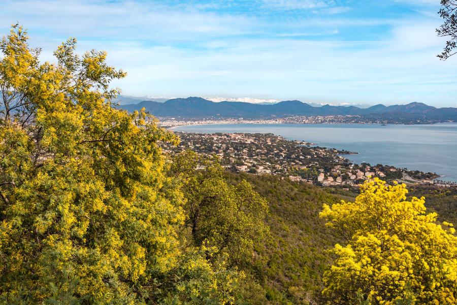 Randonnée sentier du Mimosa_Roquebrune-sur-Argens