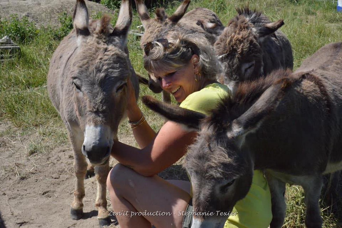 P'tits Ânes, Graveson - photo 6