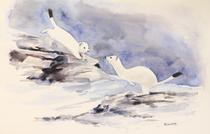 Exposition des peintures de Viviane Risser_Saint-Pierre-d'Entremont