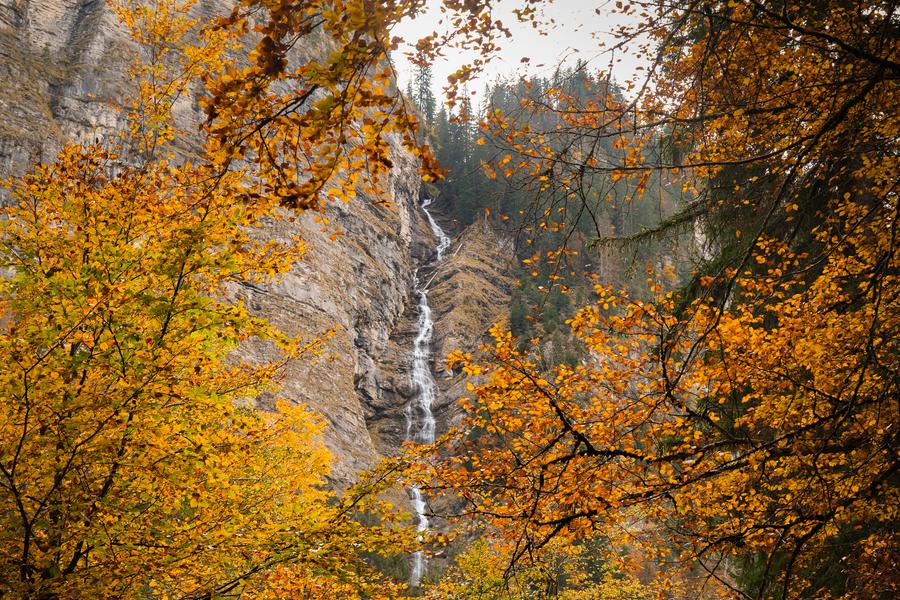 Lac de Montriond_Montriond