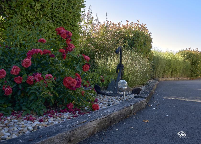 Allée du parking fleurie
