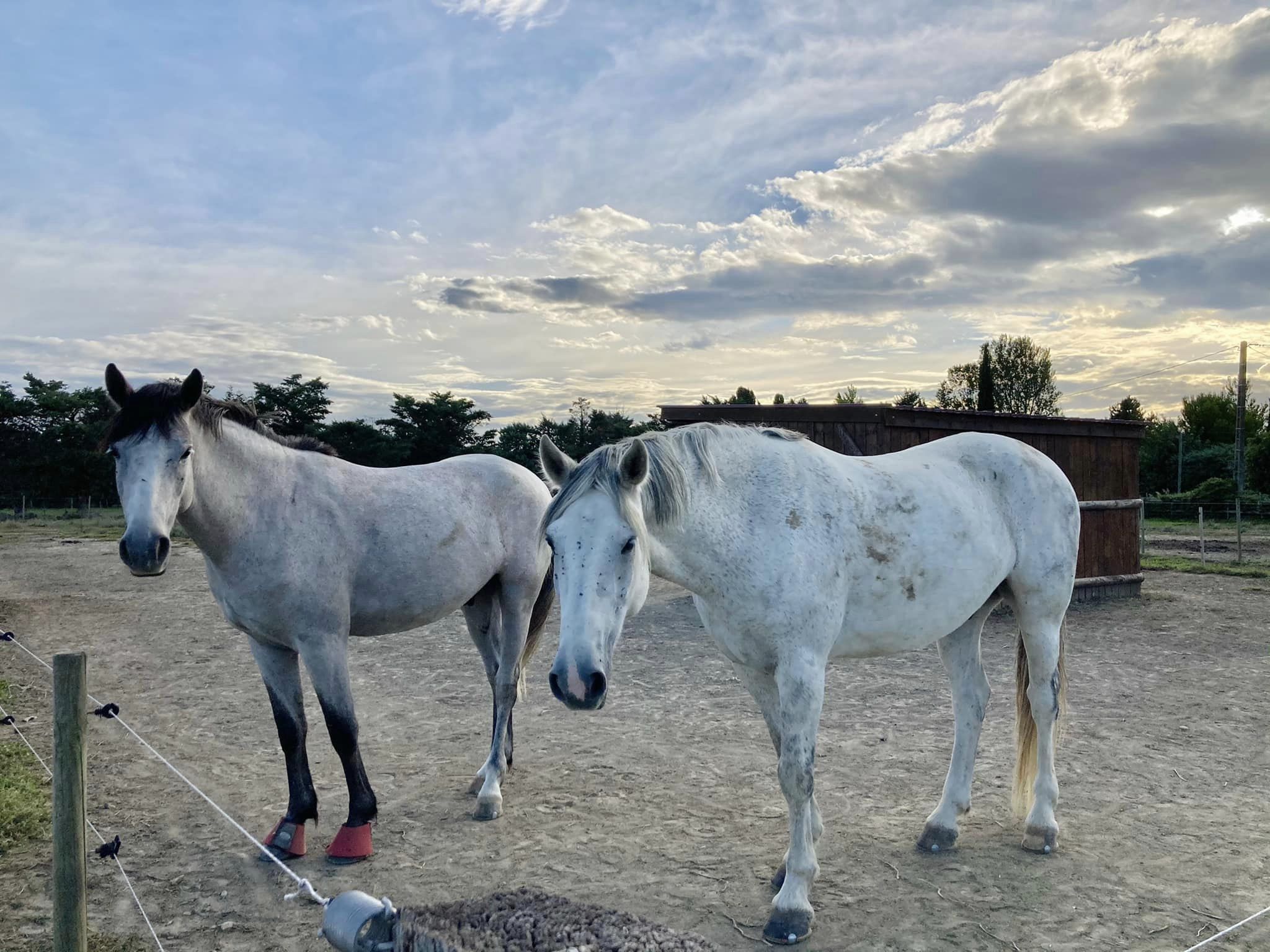 Les Ecuries de Maillane