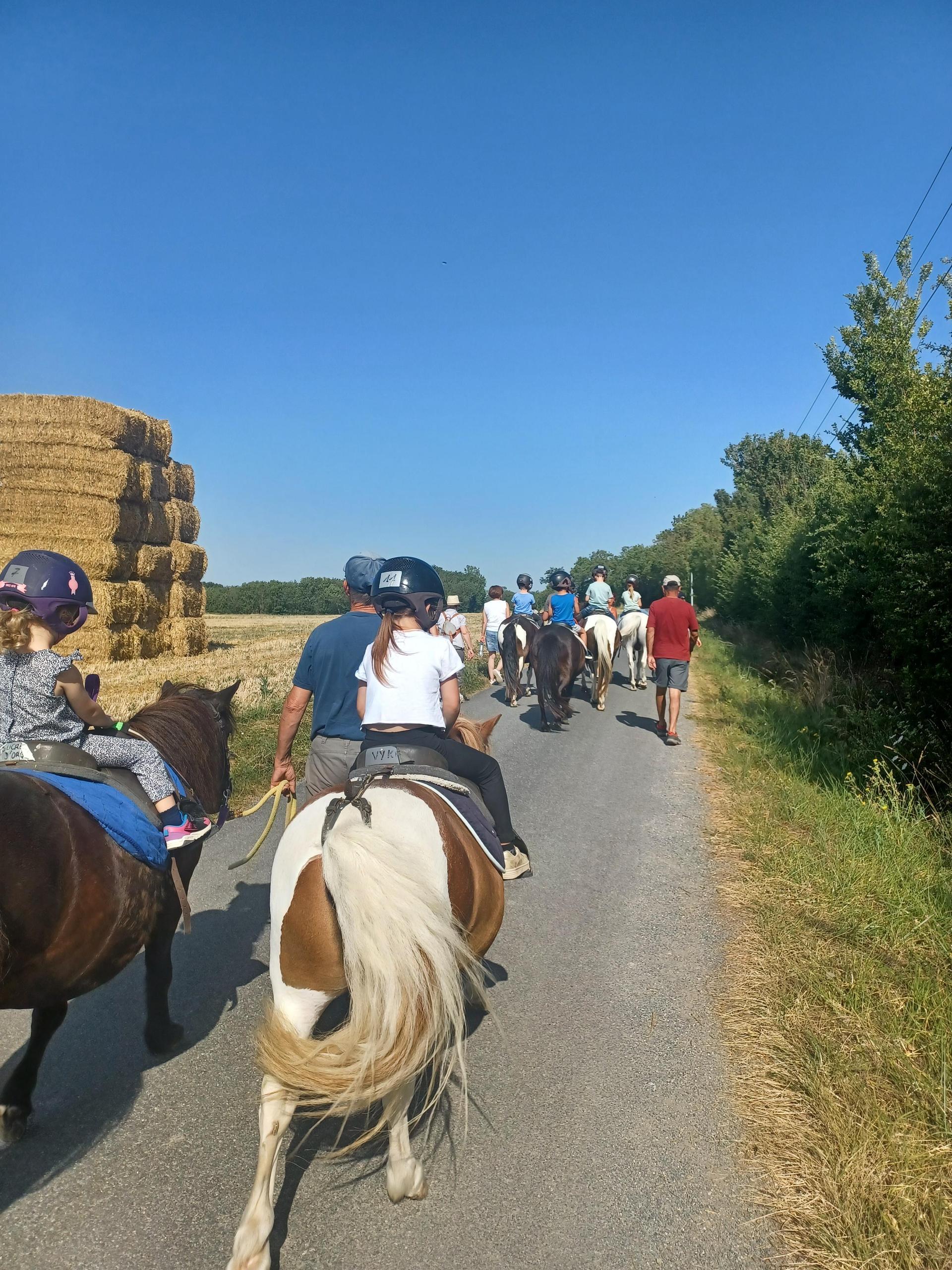 Equitation tout public