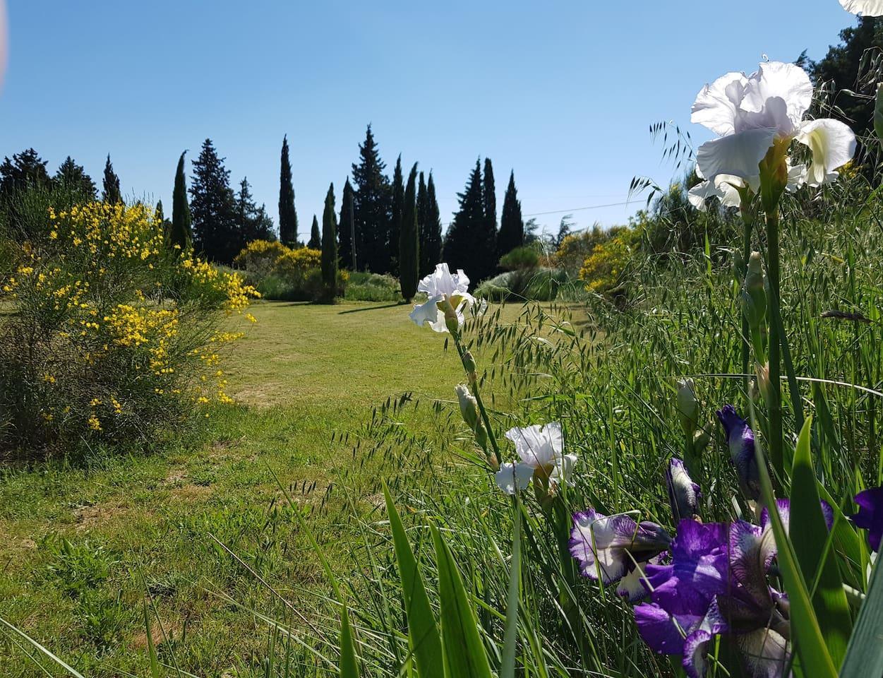 La Coccinelle d'Emilie, Noves - photo 20
