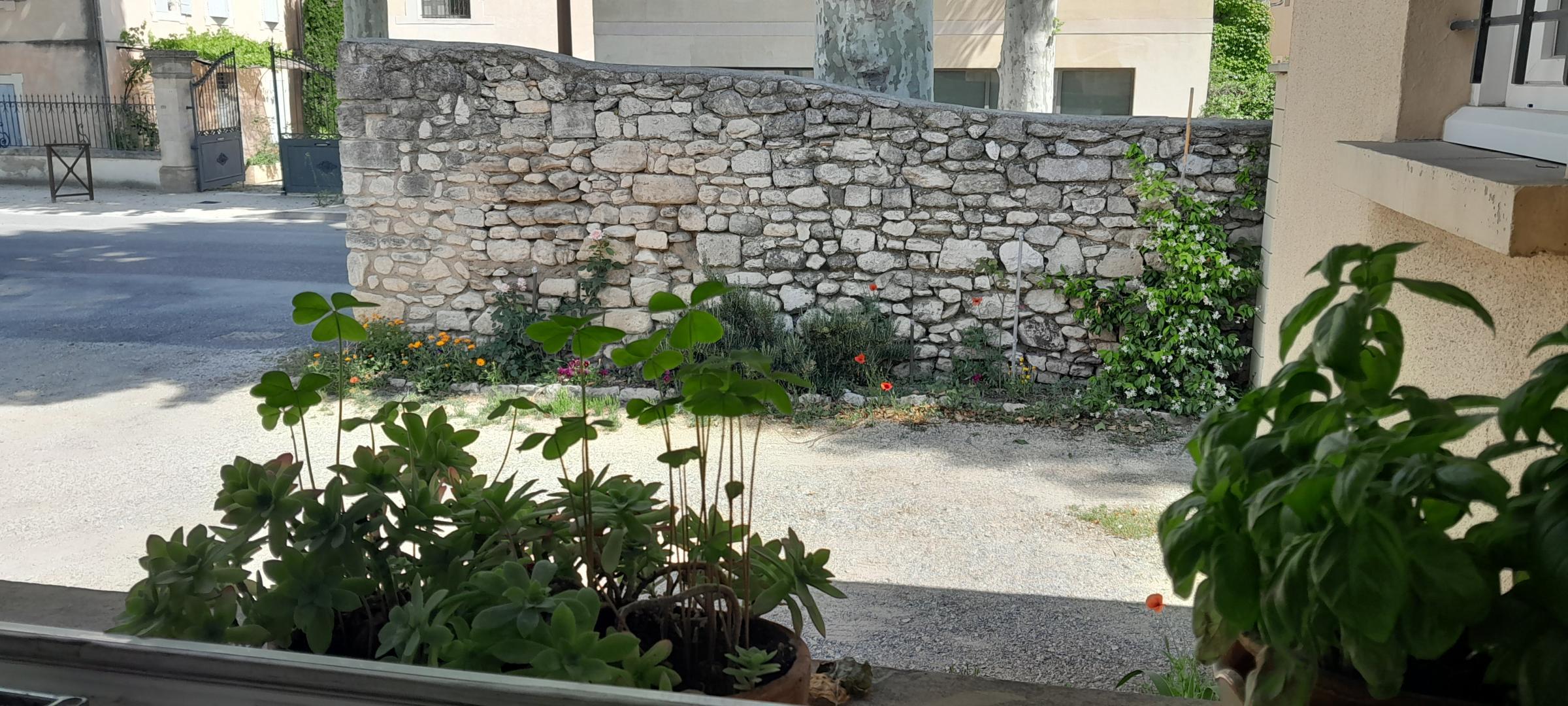 Lou Soulèu Me Fai Canta, Saint-Rémy-de-Provence - photo 14