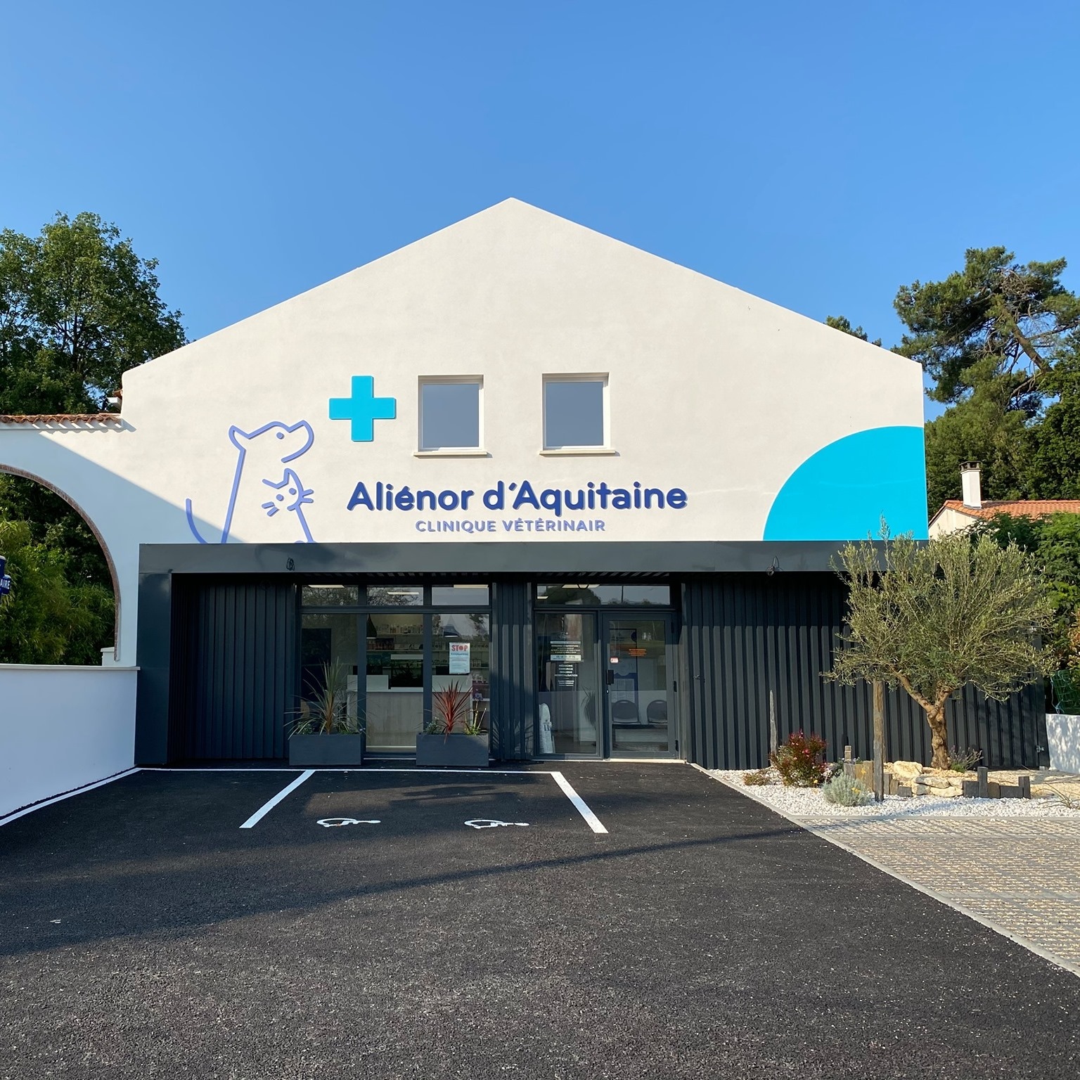 Clinique Vétérinaire Aliénor d'Aquitaine - Dr Carrard Carola, Dr Edderai David