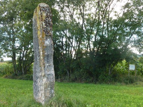 Menhir de Pierre Fiche - Simandre-sur-Suran Menhir de Pierre Fiche - Simandre-sur-Suran