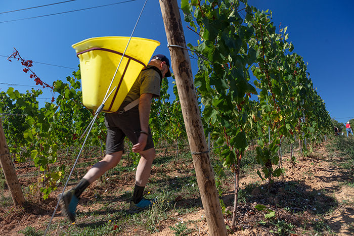 Château de Champ-Renard