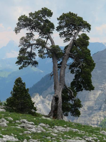 Aucun aperçu	 La grande faille du rocher du Parquet, la voie de l'éclair