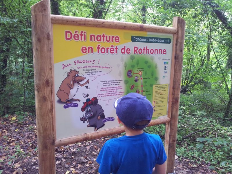 Parcours à énigmes de Zoé Grignotte en forêt de Rothonne