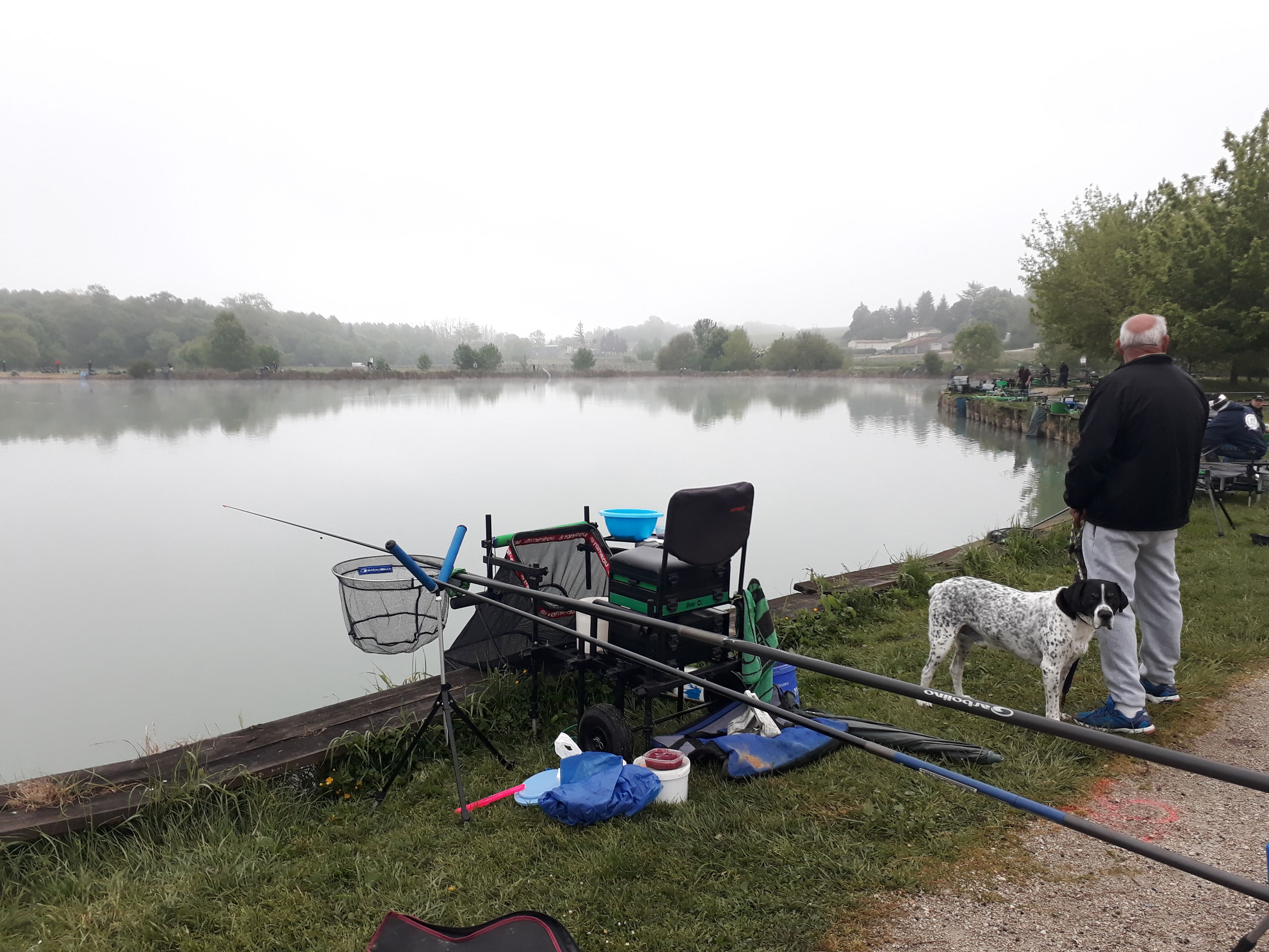 Lacher de truites au plan d'eau