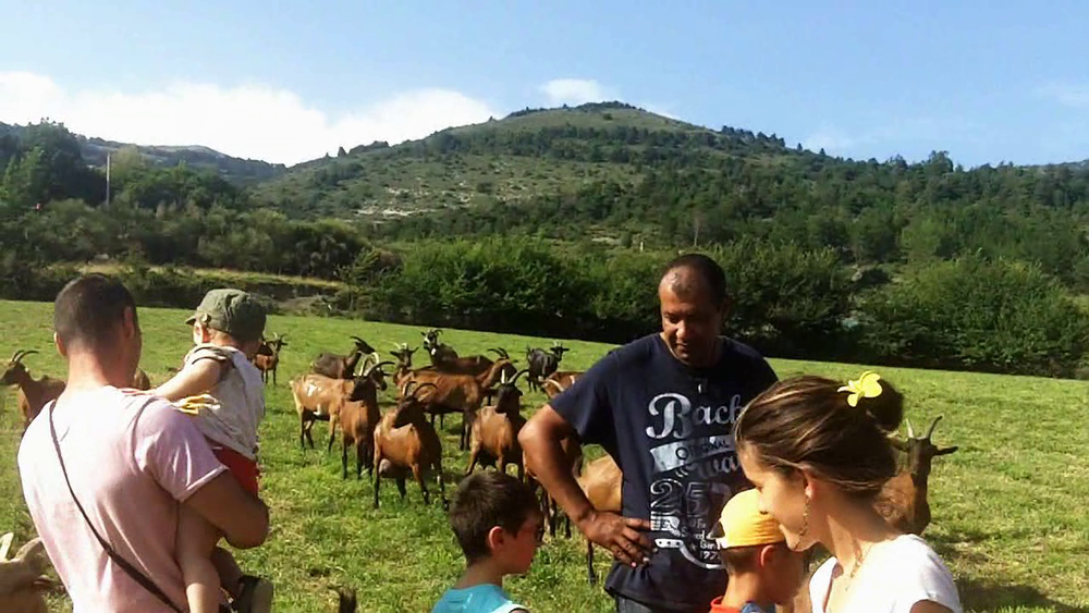 Itinéraire paysan à la Ferme des Jassines