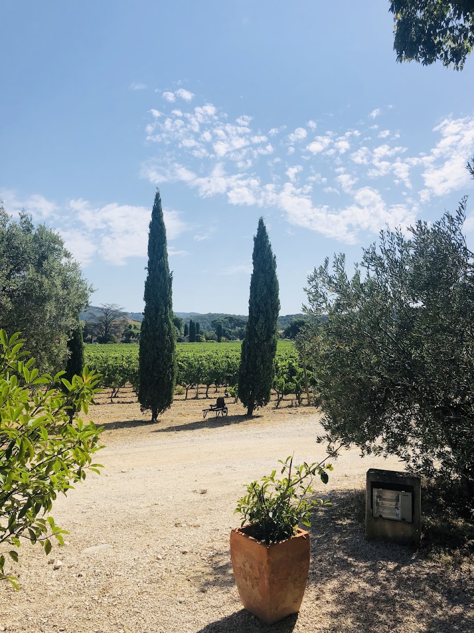 Domaine Cassis Bodin, Cassis - photo 11