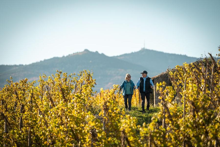 Rando Wine au Domaine Anthony Paret_Saint-Pierre-de-Boeuf