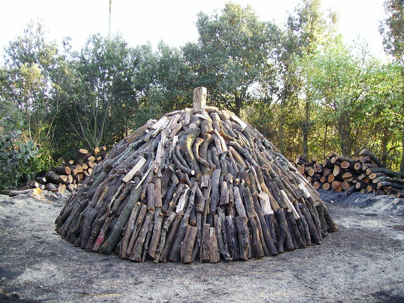 Construction-d-une-charbonniere