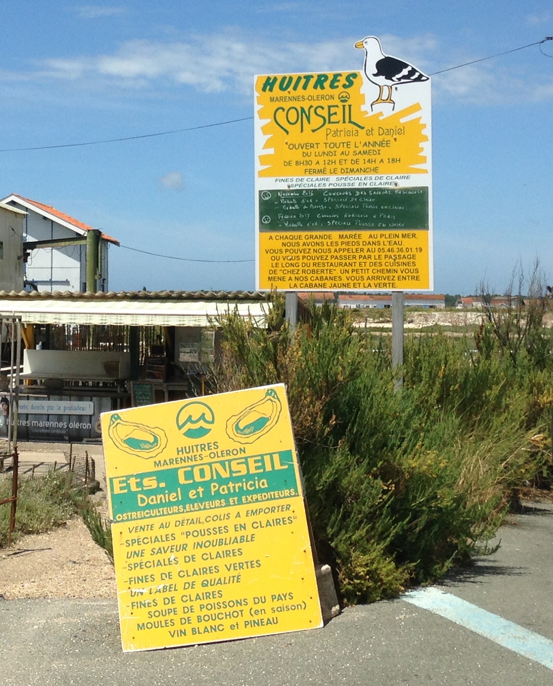 Conseil Daniel - Ostréiculteur