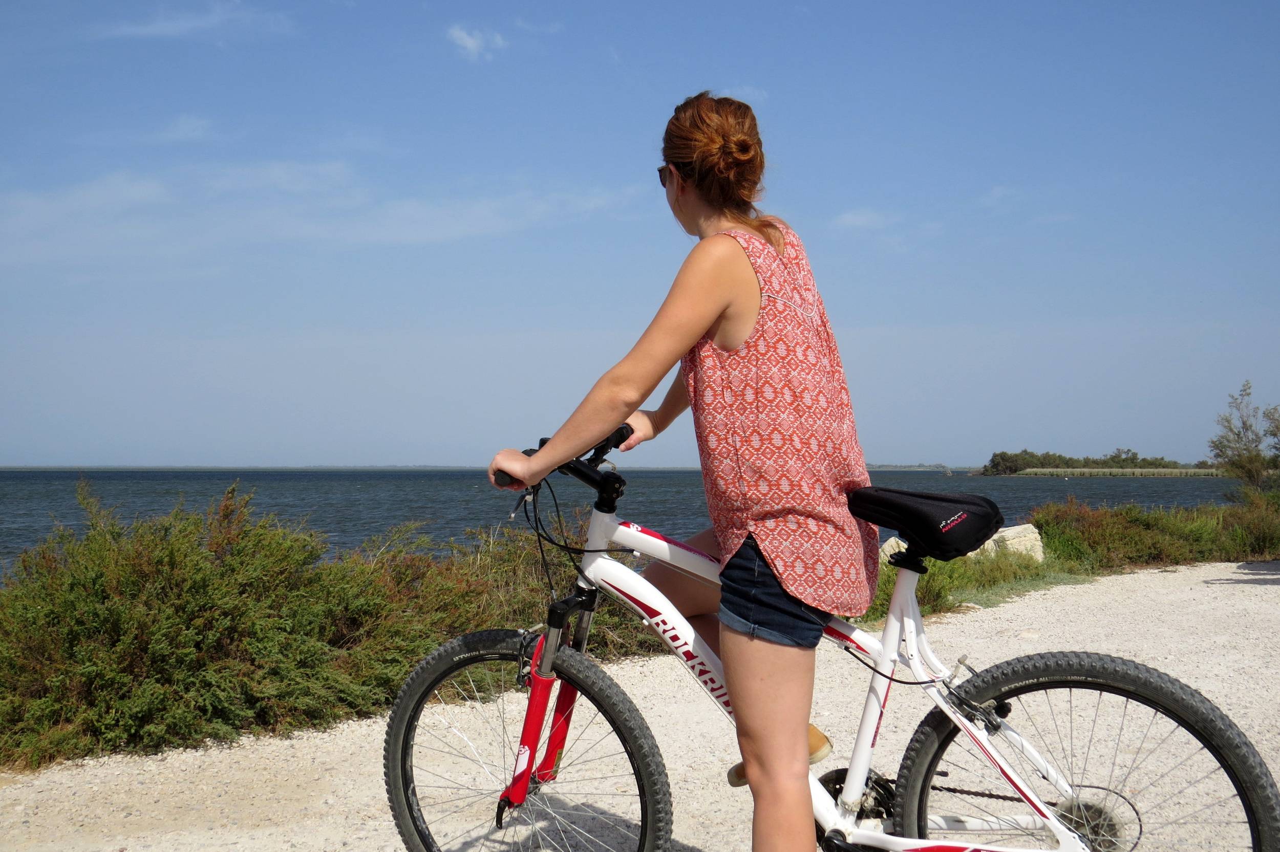 ARLES - À la découverte du Vaccarès à vélo — photo 2