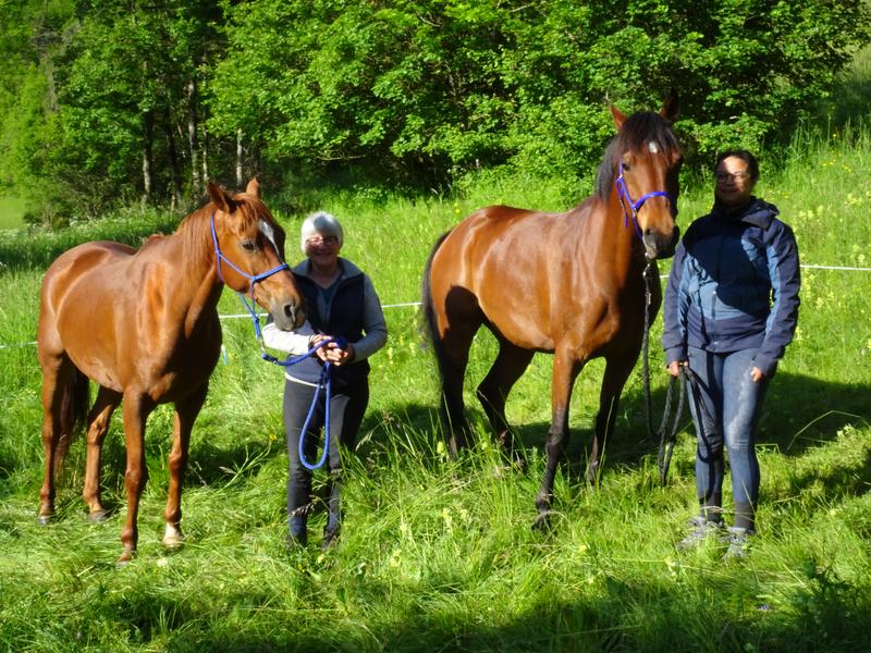 La Casa des Achards - Chambres d'hôtes_Châtel-en-Trièves