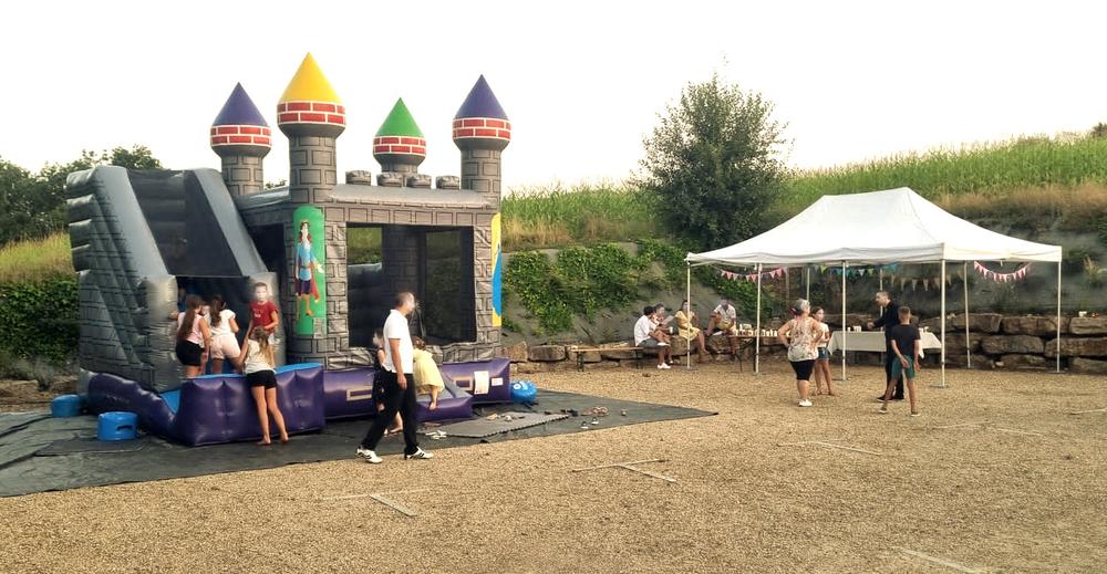 Château des Pertonnières