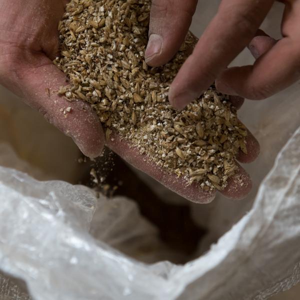 Atelier de brassage_LaChénou_ST LAURENT D'AGNY