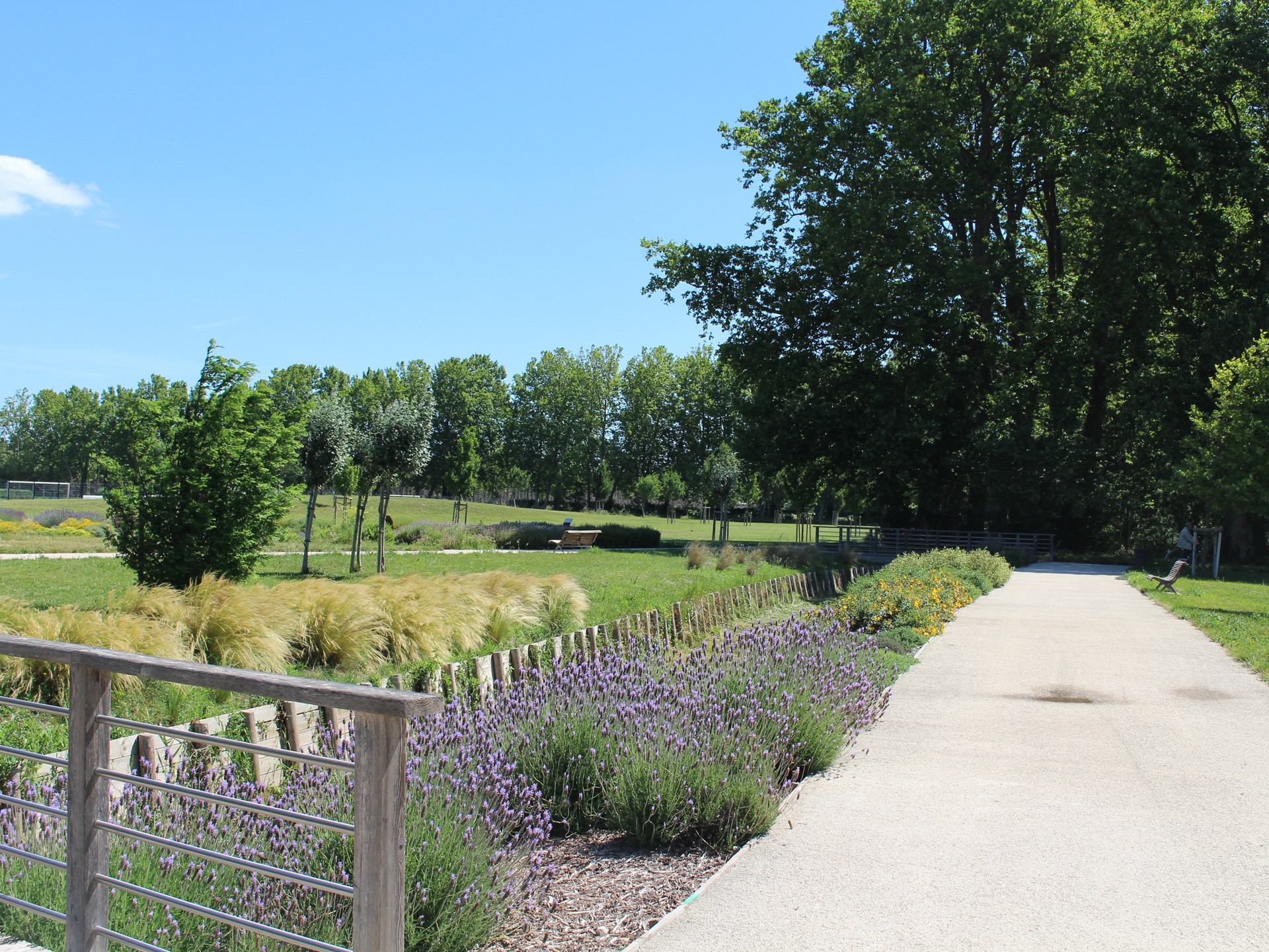 Bouches-du-Rhône en Paysages - Balade douce à Rognonas, Rognonas - photo 2