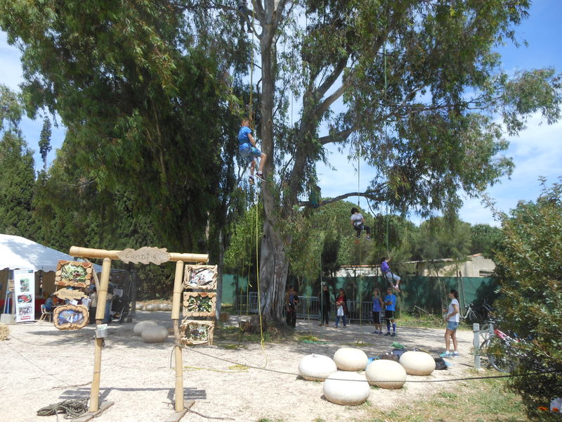 Nature en fête à La Londe les Maures