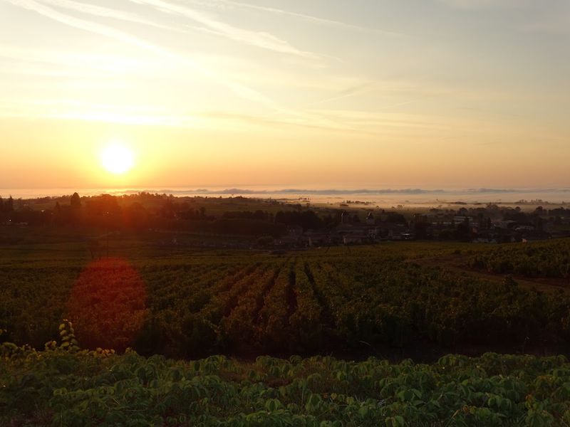 Vue du Domaine sur la Vallée de la Saône