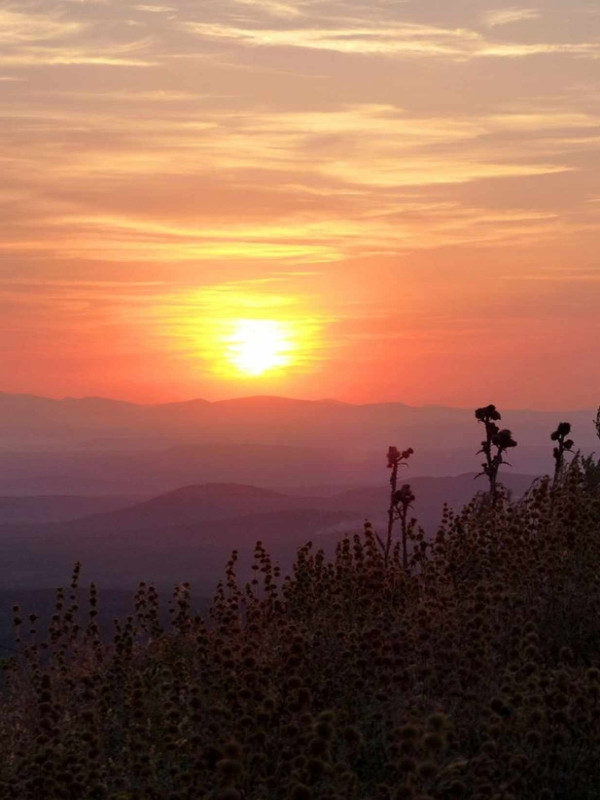 Quiterie Duron - Via Montaña, Fuveau - photo 3
