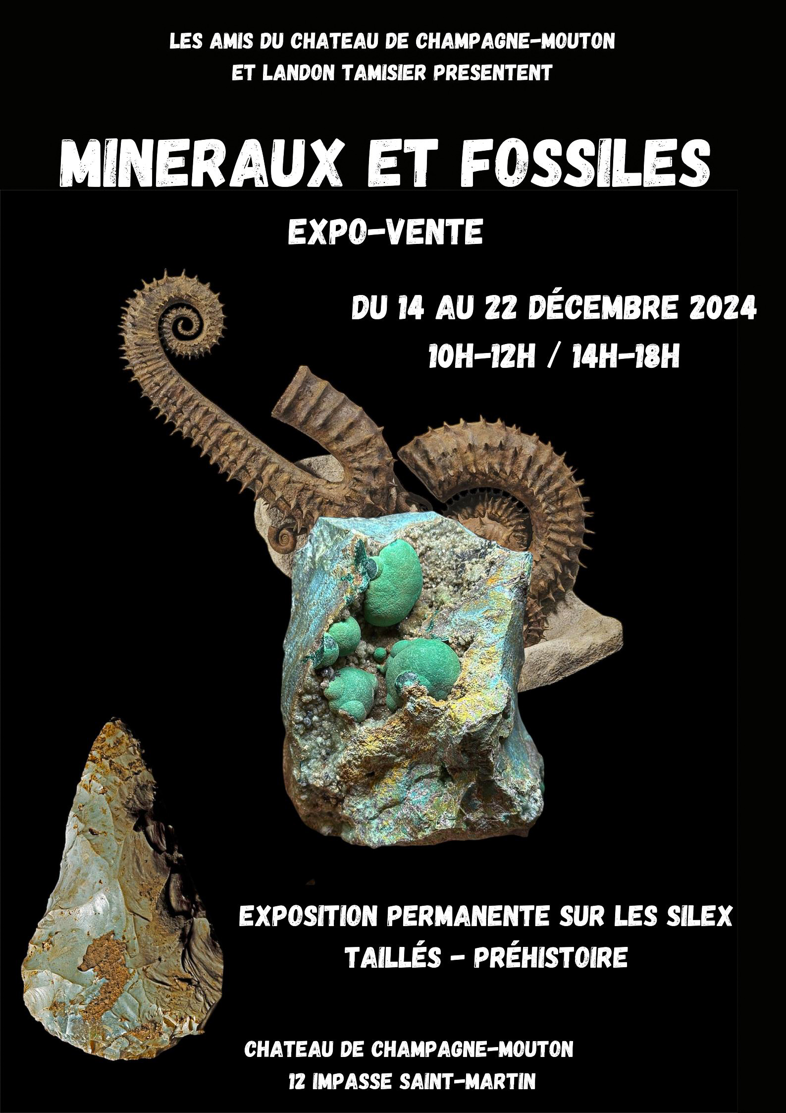 Exposition vente minéraux, fossiles et silex taillés