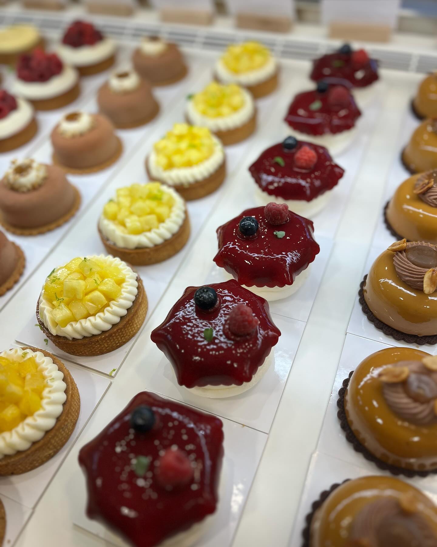 Pâtisserie Annabelle Maine, Eyragues - photo 5