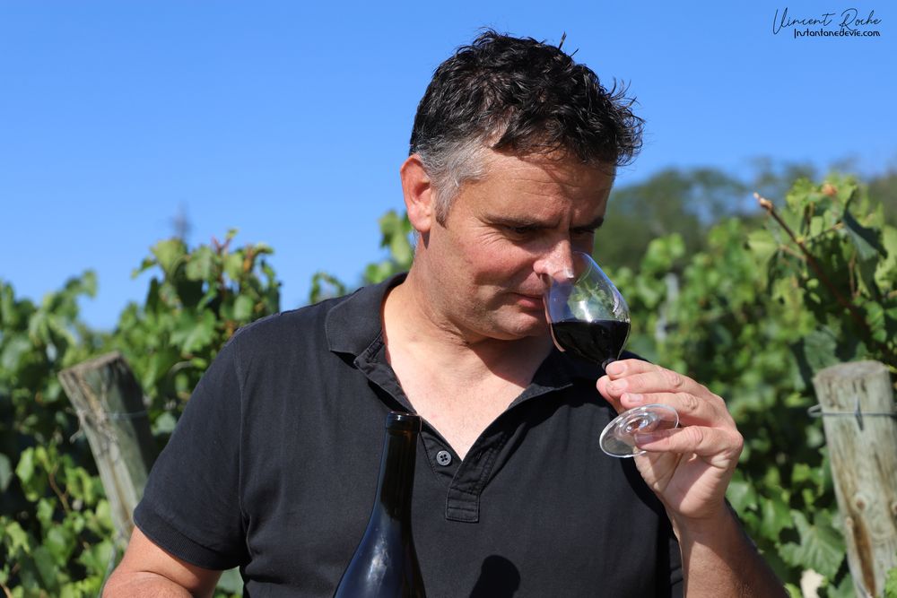 Balade vigneronne au domaine Montel