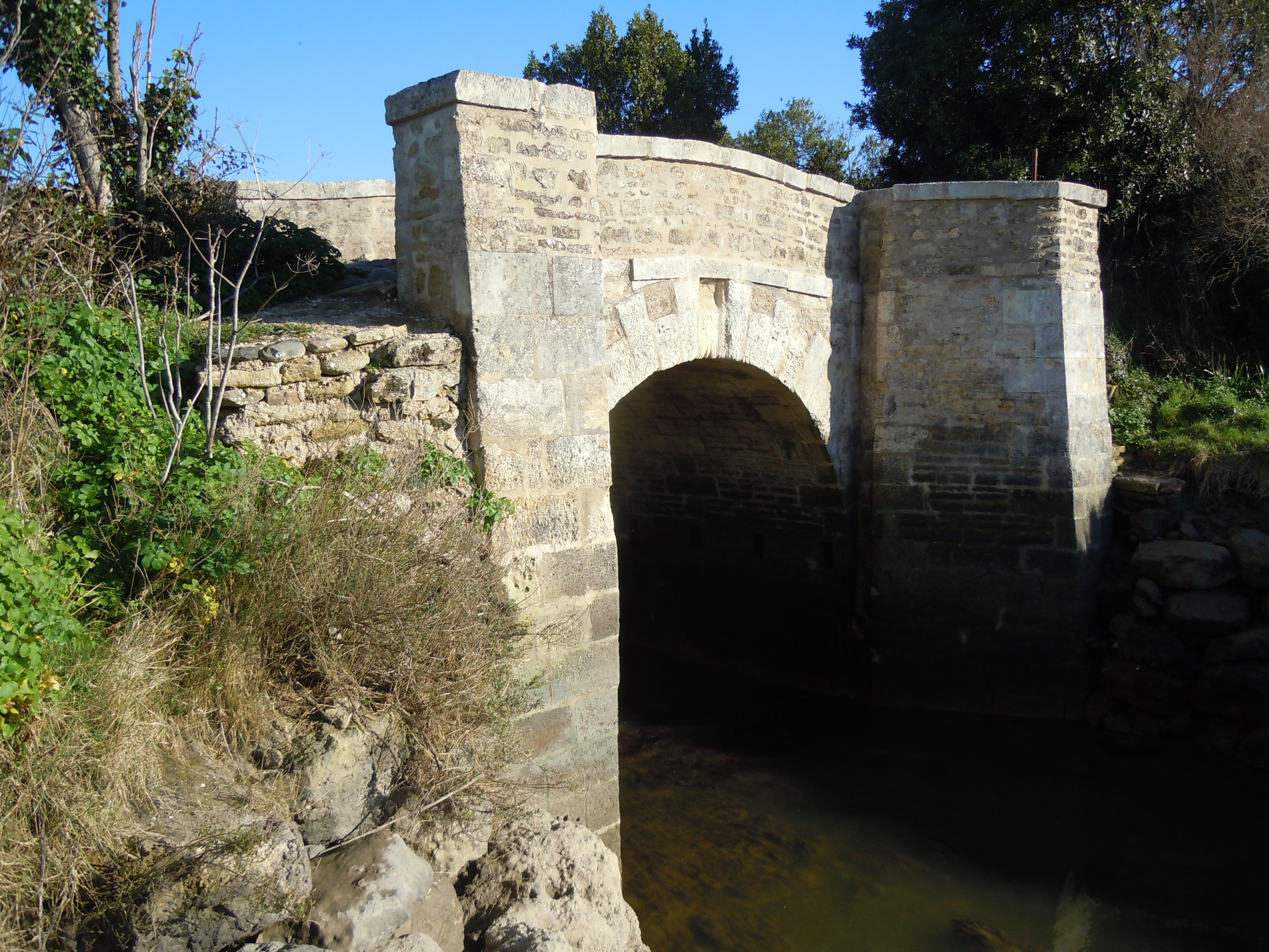 Pont Napoléon