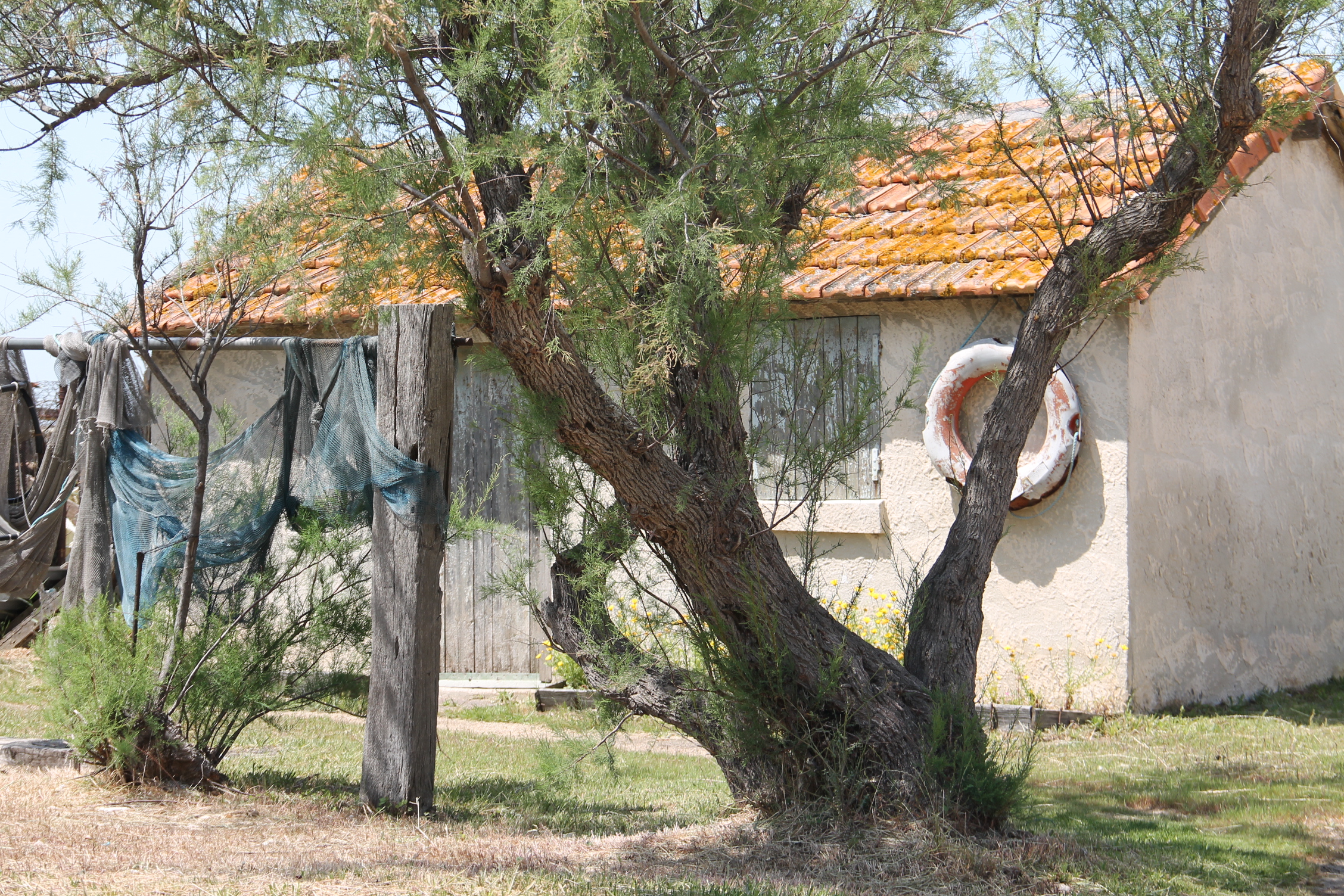 Bouches-du-Rhône en Paysages - Marignane, au fil de l'eau - photo 2